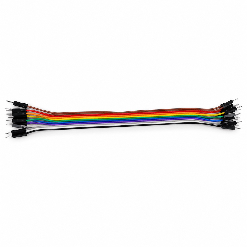 10 PCS Male to Male Dupont Line 20CM (1570)