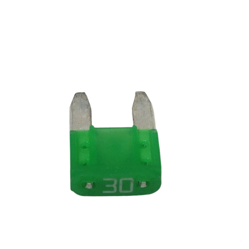 Fusible Poste Auto 30A